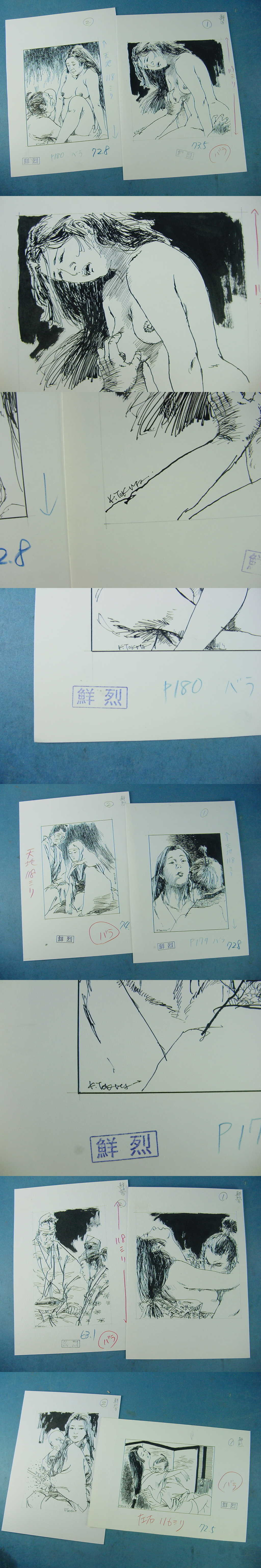 鸨田干肉笔挿絵原画10点 アダルト雑志 鲜烈 a 平和出版 1994